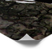 Poster bleu Jay / Imprimer (Coin)