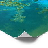 Poster bleu koi (Coin)