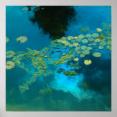 Poster bleu koi (Devant)