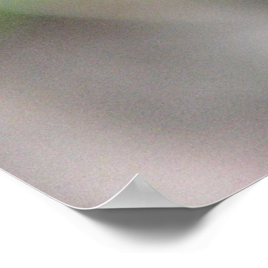 Poster Bleu libellule sur Perch (Coin)