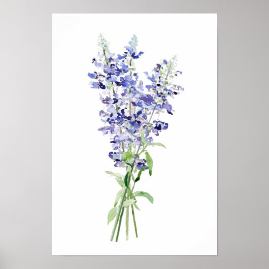 Poster bleu mealycup fleurs de sauge bouquet aquarelle (Devant)