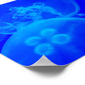 Poster Bleu méduse (Coin)