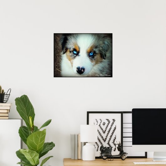 Poster bleu Merle Aussie Puppy (Bureau à domicile)