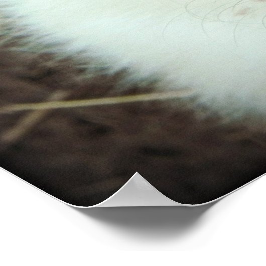 Poster bleu Merle Aussie Puppy (Coin)