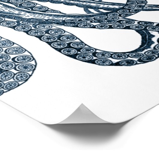 Poster bleu moderne Octopus (Coin)