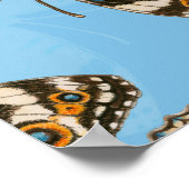 Poster Bleu motif papillon Pansy (Coin)