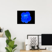 Poster Bleu Nasturtium (Bureau à domicile)