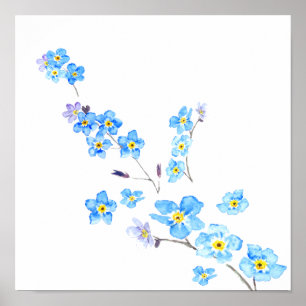Poster bleu oubliez-moi de ne pas aquarelle
