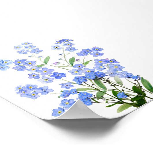 Poster bleu oubliez-moi pas d'aquarelle (Coin)