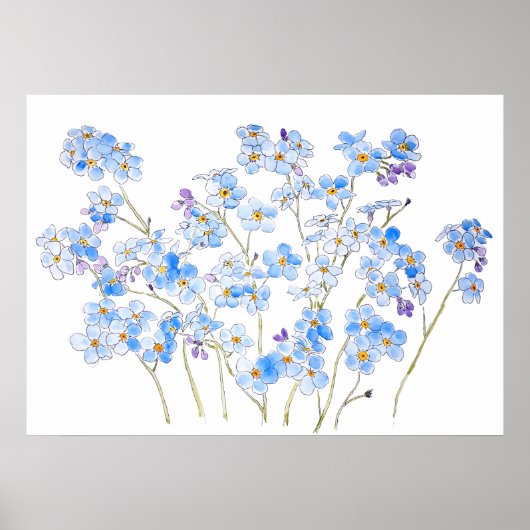 Poster bleu oubliez moi pas encre et aquarelle 2023 (Devant)