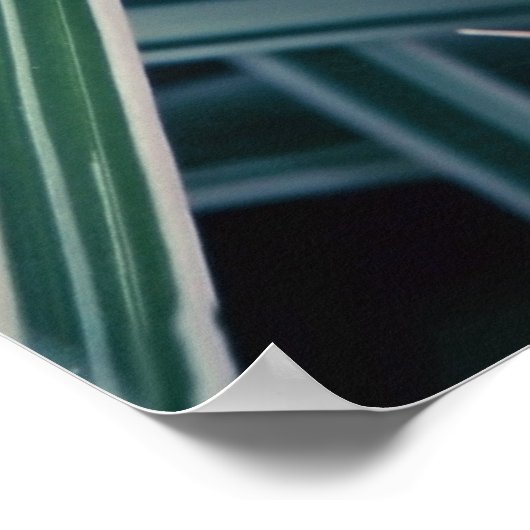 Poster Bleu Oubliez-moi-pas Fleurs dans l'herbe (Coin)