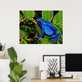 Poster Bleu Poison grenouille Dendrobates azureus (Bureau à domicile)