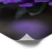 Poster Bleu Rare Elephant Bug (Coin)