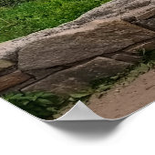 Poster Bleu Ridge Spring Imprimer (Coin)