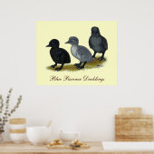 Poster Bleu Runner Ducklings (Cuisine)