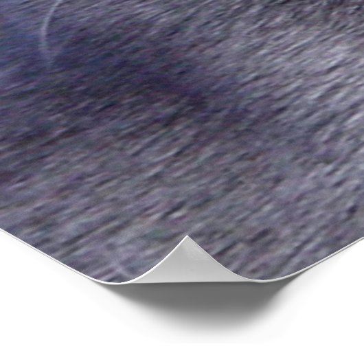 Poster ‎ bleu russe (Coin)