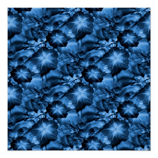 Poster Bleu soyeux... (Devant)