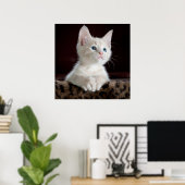 Poster Bleu teint blanc Kitten (Bureau à domicile)