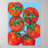 Poster bleu tomates rouges (Devant)