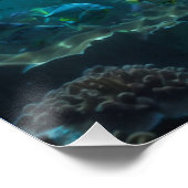 Poster Bleu turquoise Dauphin sous-marin Scène II (Coin)