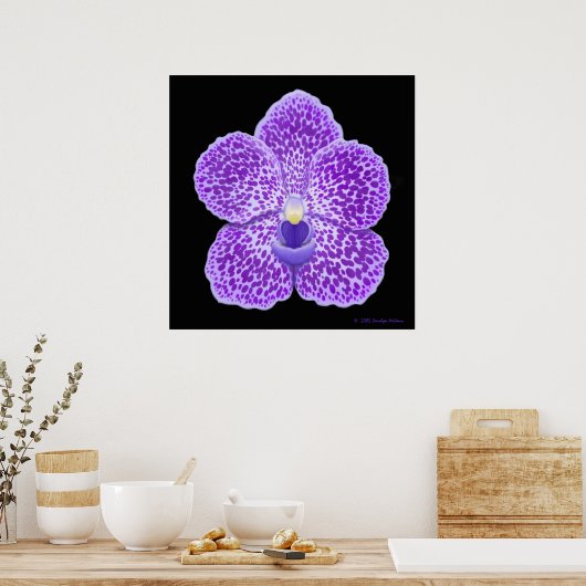 Poster Bleu Vanda Orchid Bloom Imprimer (Cuisine)