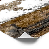 Poster Bleuet de l'Est en neige - Photo originale (Coin)