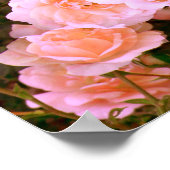 Poster Bliss... (Coin)