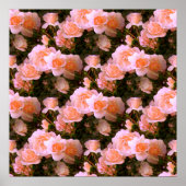 Poster Bliss... (Devant)