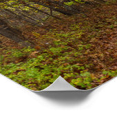 Poster Bliss d'automne (Coin)