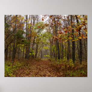 Poster Bliss d'automne