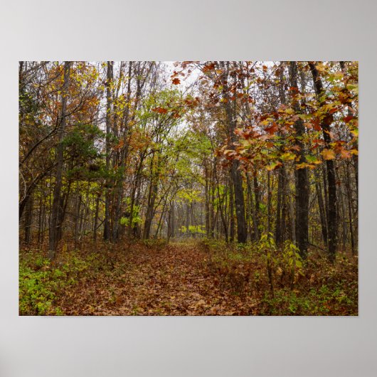 Poster Bliss d'automne (Devant)