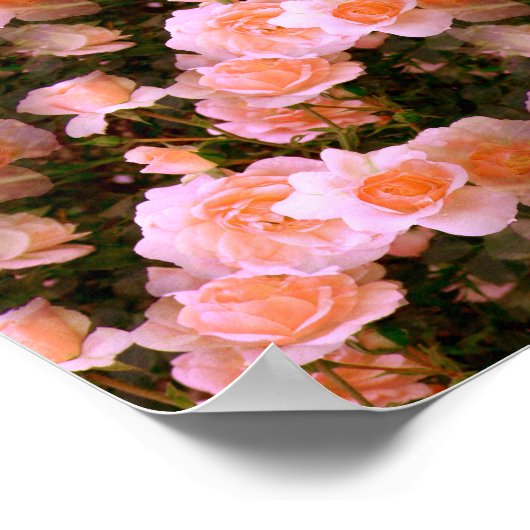 Poster Bliss of Spring.... (Coin)