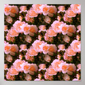 Poster Bliss of Spring.... (Devant)