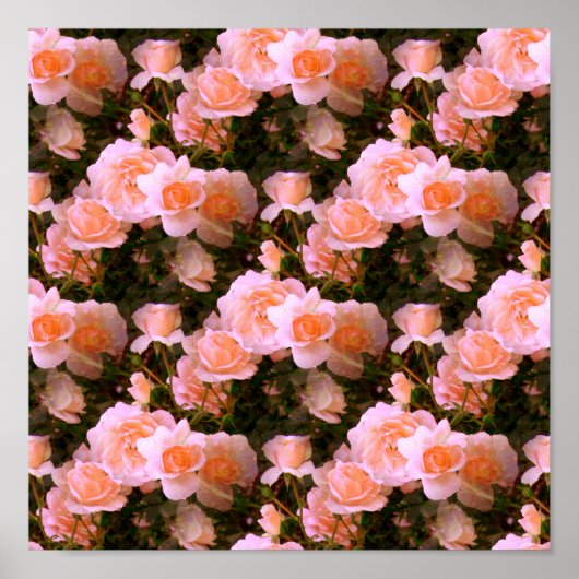 Poster Bliss of Spring.... (Devant)