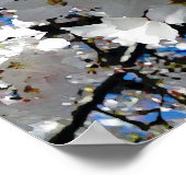 Poster Blisser Blossoms (Coin)