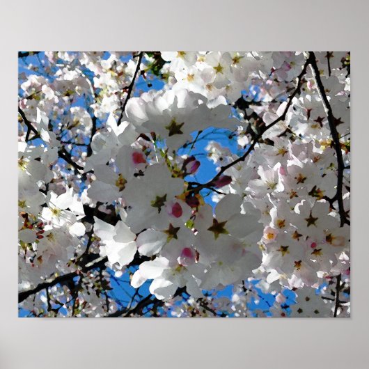 Poster Blisser Blossoms (Devant)