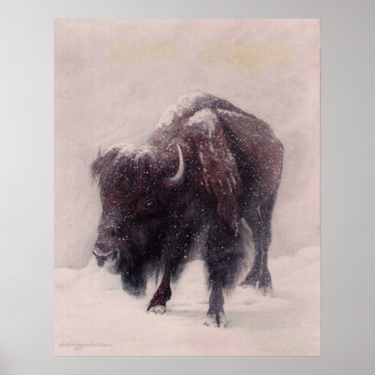 Poster Blizzard de Buffalo (Devant)
