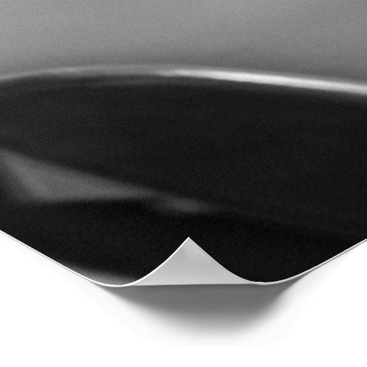 Poster Blk & Wht Banjo (Coin)