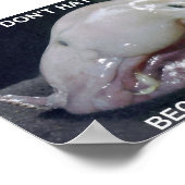 Poster blobfish1 (Coin)