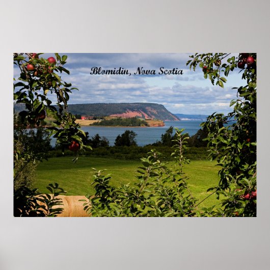 Poster Blomidin, Nouvelle-Écosse, Canada (Devant)