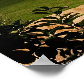 Poster Blomidin, Nouvelle-Écosse, Canada (Coin)