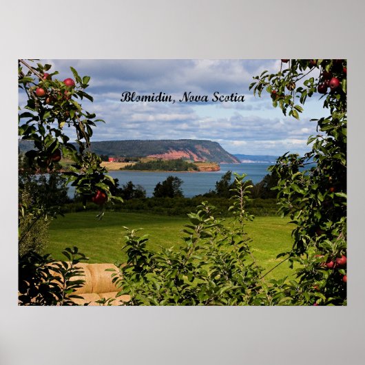 Poster Blomidin, Nouvelle-Écosse, Canada (Devant)
