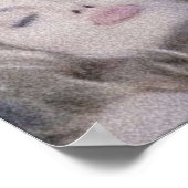 Poster Blonde Angelina Jolie Headshots (Coin)