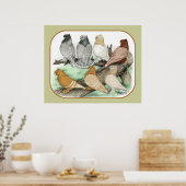Poster Blondinettes de pigeons de frill classique (Cuisine)