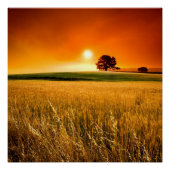 Poster Blood-Red Sunset (Devant)