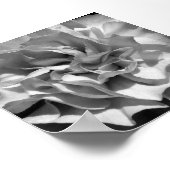 Poster Bloom #4 (Coin)