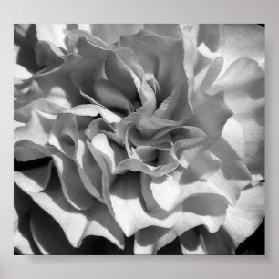 Poster Bloom #4