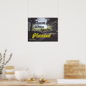 POSTER "BLOOM OÙ VOUS ÊTES PLANTÉ" (Cuisine)