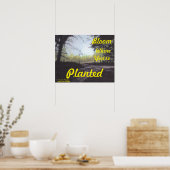POSTER "BLOOM OÙ VOUS ÊTES PLANTÉ" (Cuisine)