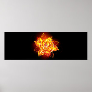 Poster Blooming Fire Rose